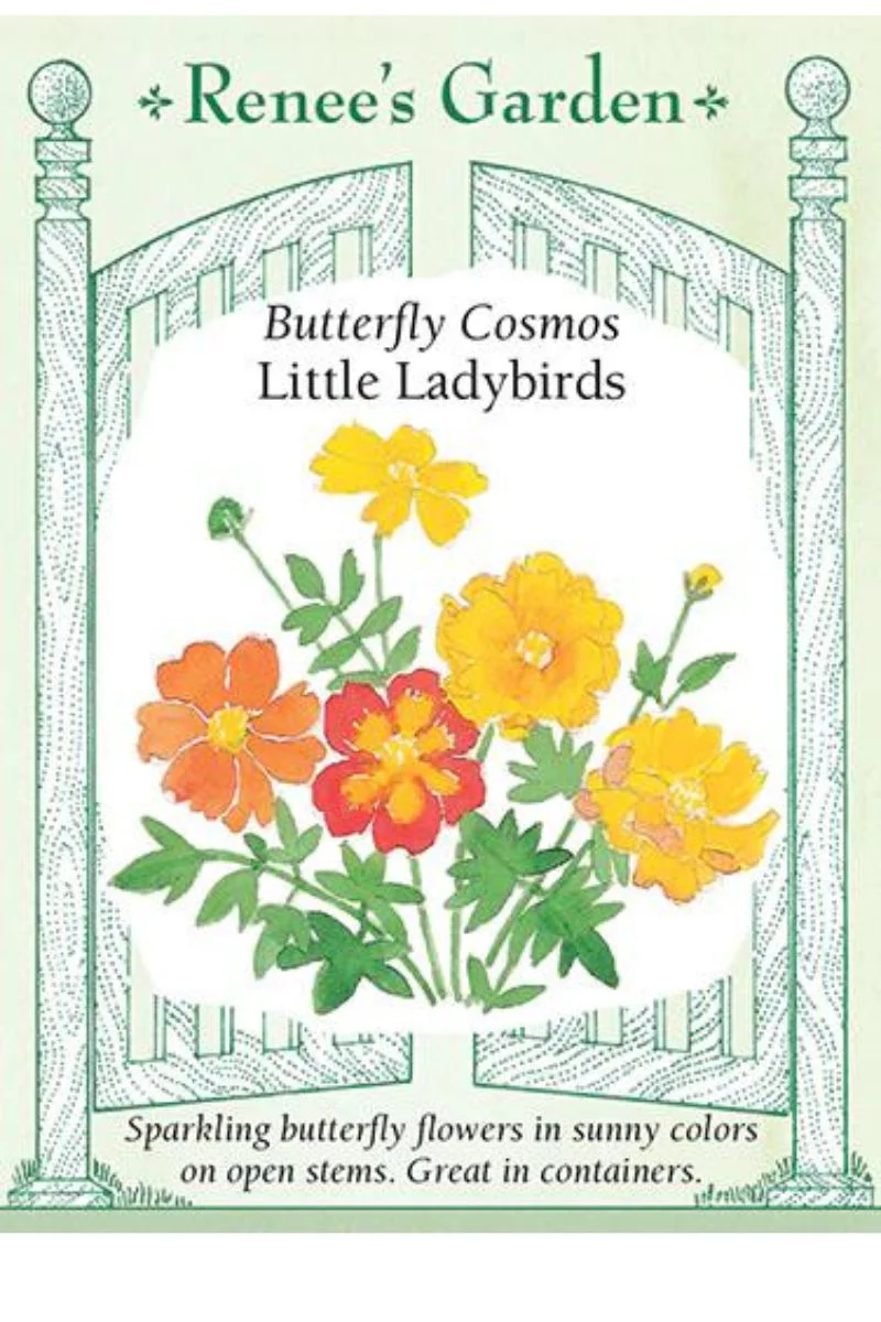 Renee's Garden Butterfly Cosmos Little Ladybirds Seeds - Image 2