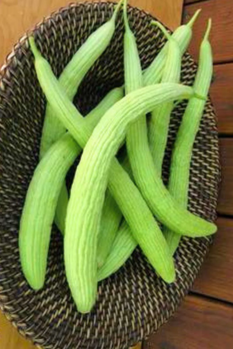 Renee's Garden Heirloom Cucumbers Sweet Armenian Seeds - Image 2