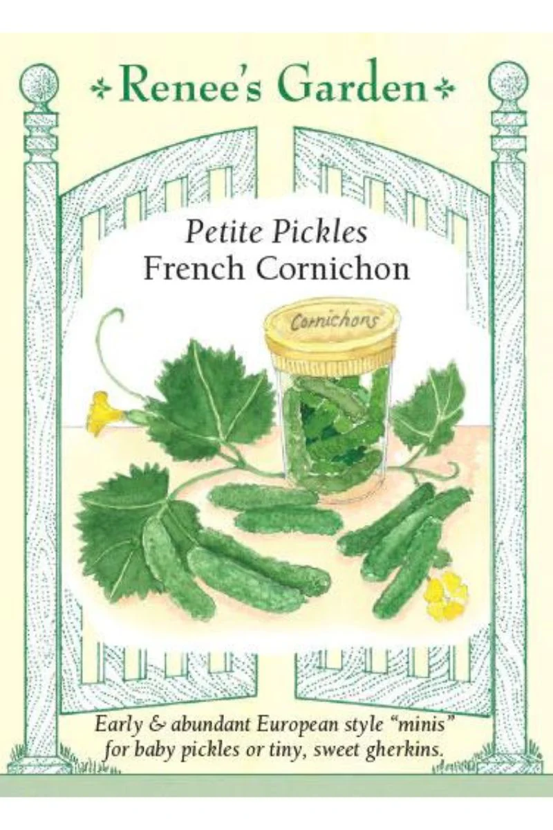 Renee's Garden Petite Pickles French Cornichon Seeds - Image 2