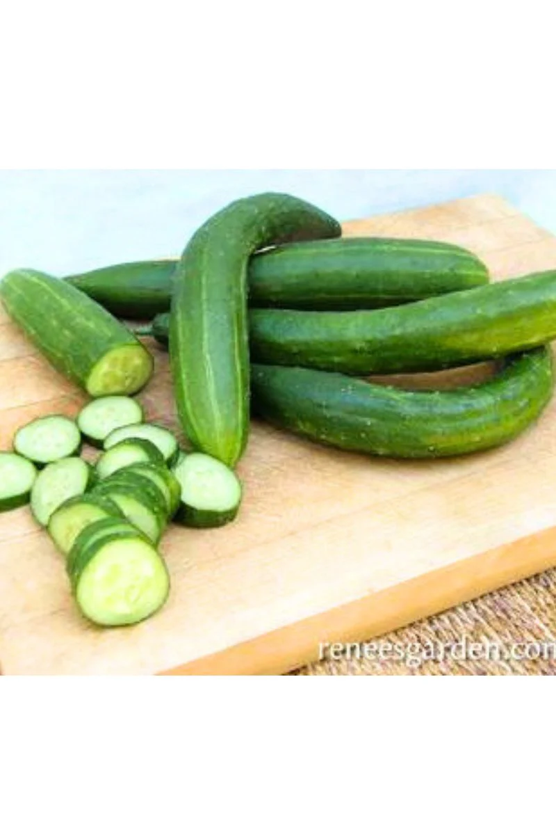 Renee's Garden Japanese Cucumber Tasty Green Seeds - Image 2