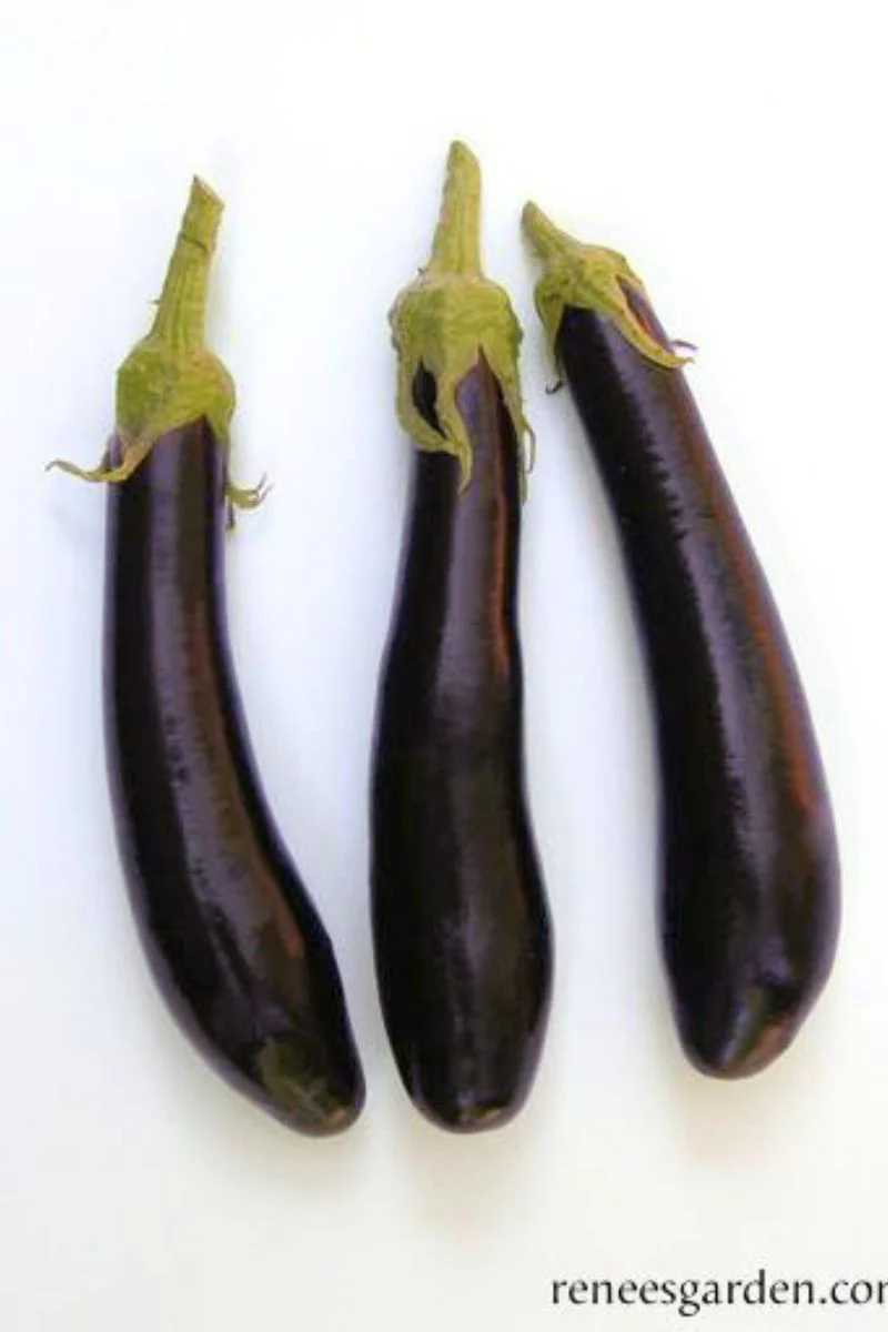 Renee's Garden Heirloom Italian Eggplant Violetta Lunga Organic Seeds - Image 2