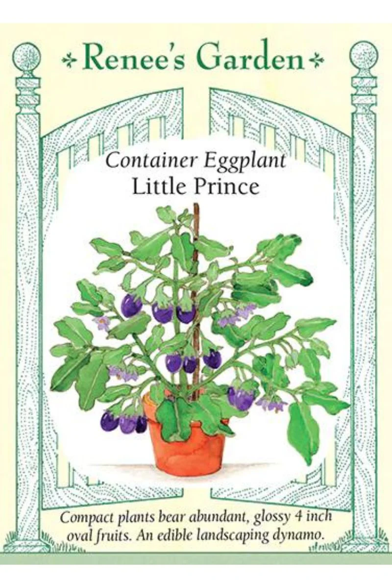 Renee's Garden Container Eggplant Little Prince Seeds - Image 2