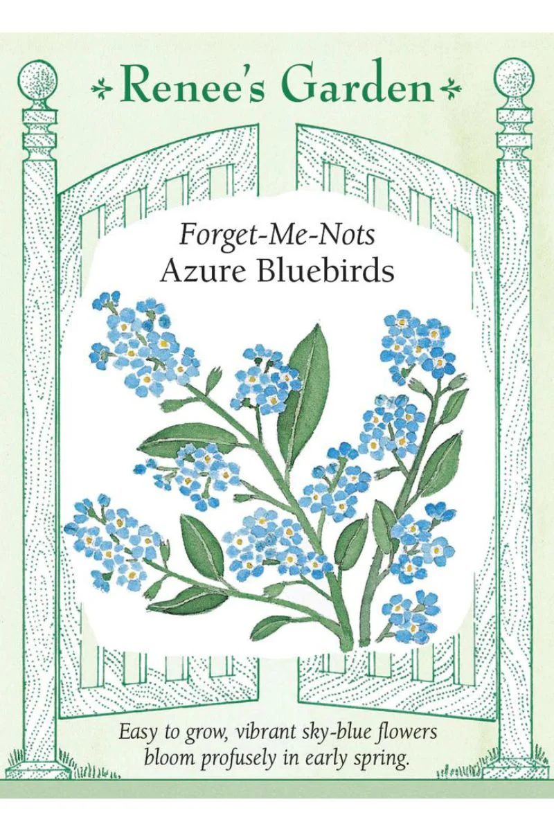 Renee's Garden Forget-Me-Nots Azure Bluebirds Seeds