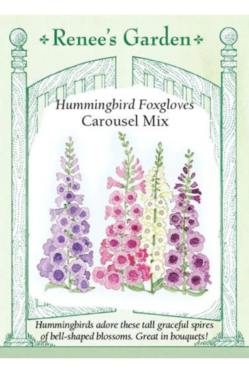 Renee's Garden Hummingbird Foxgloves Carusel Mix Seeds