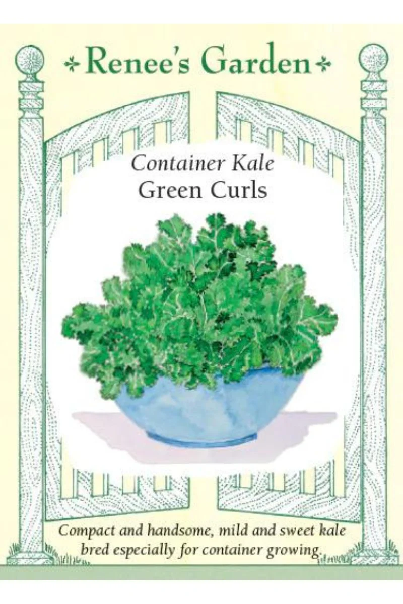 Renee's Garden Container Kale Green Curles Seeds - Image 2