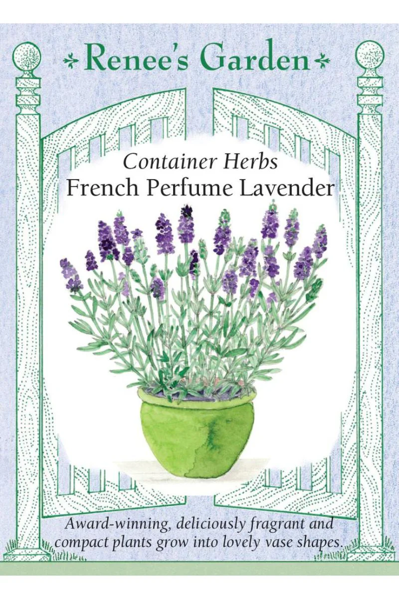 Renee's Garden Container Herbs French Perfume Lavender Seeds