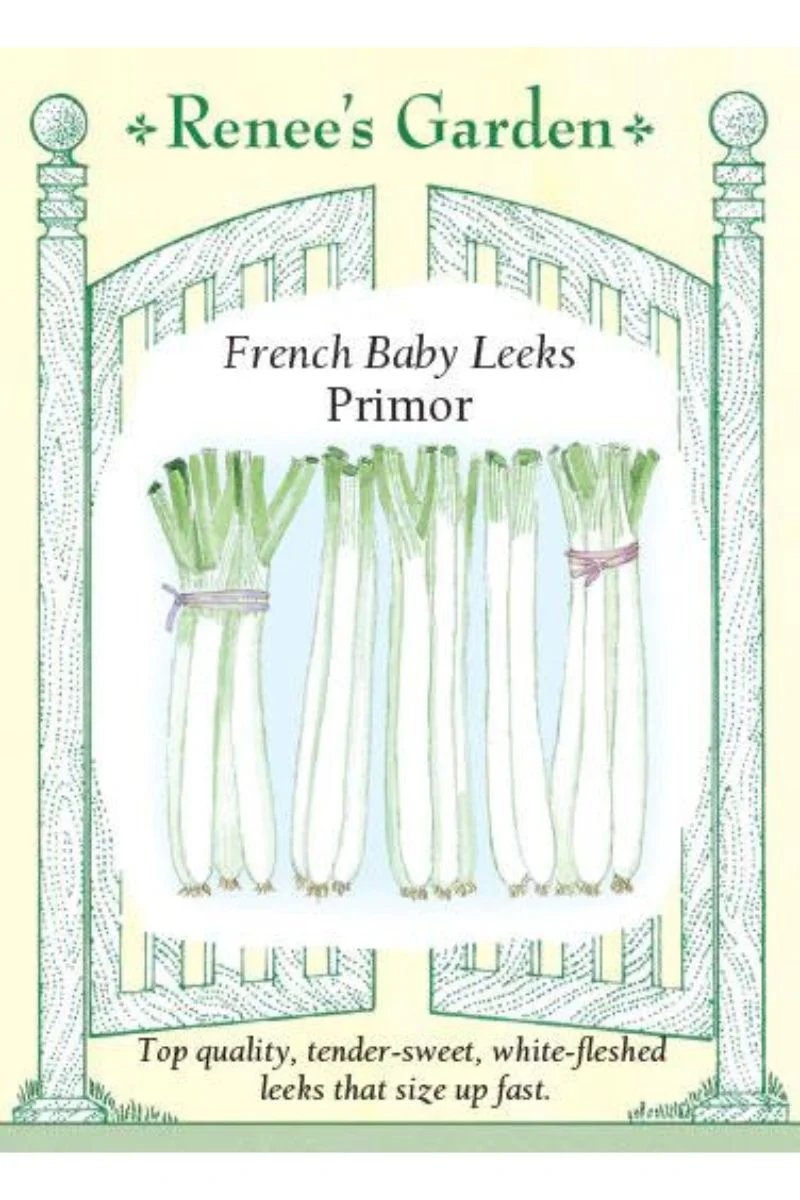Renee's Garden French Baby Leeks Primor Seeds - Image 2