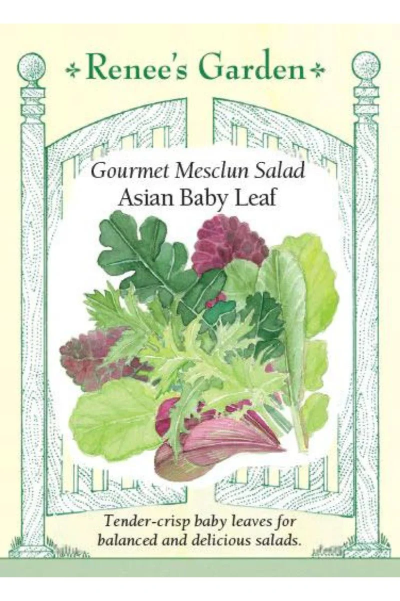 Renee's Garden Gourmet Mesclun Salad Asian Baby Leaf Seeds