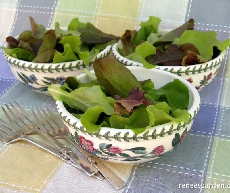 Renee's Garden Cut & Come Again Lettuces Renee's Baby Leaf Blend Organic Seeds - Image 2