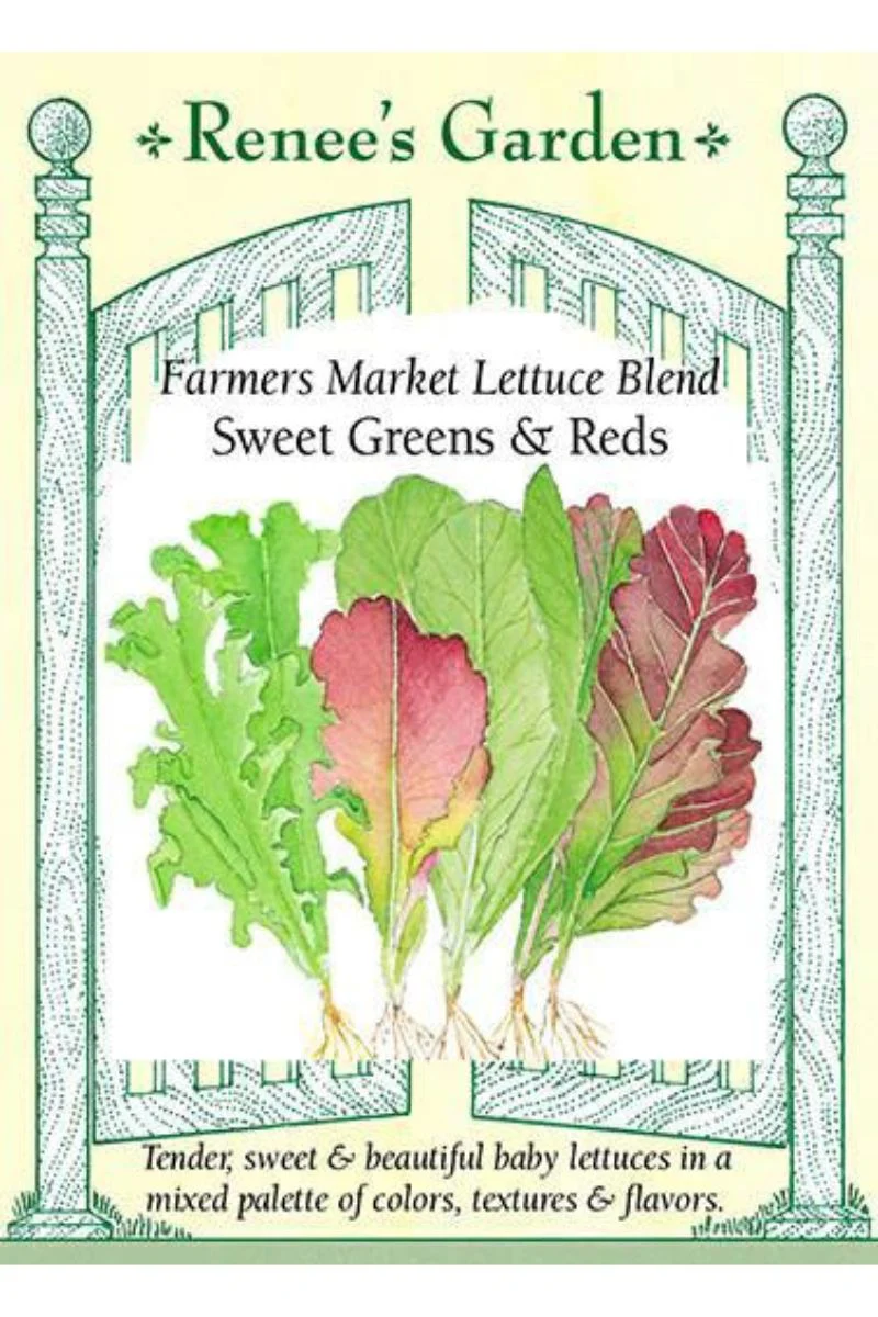 Renee's Garden Farmers Market Lettuce Blend Sweet Greens & Reds Seeds - Image 2