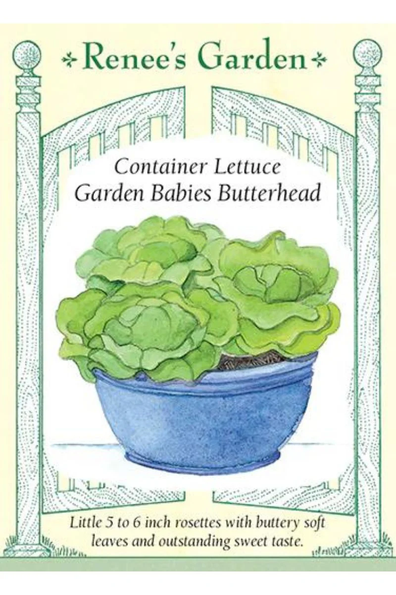 Renee's Garden Container Lettuce Garden Babies Butterhead Seeds - Image 2