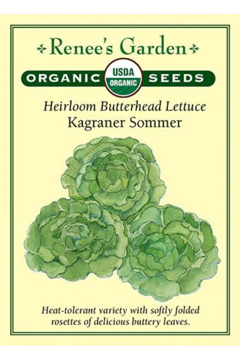 Renee's Garden Heirloom Butterhead Lettuce Kagraner Sommer Organic Seeds - Image 2