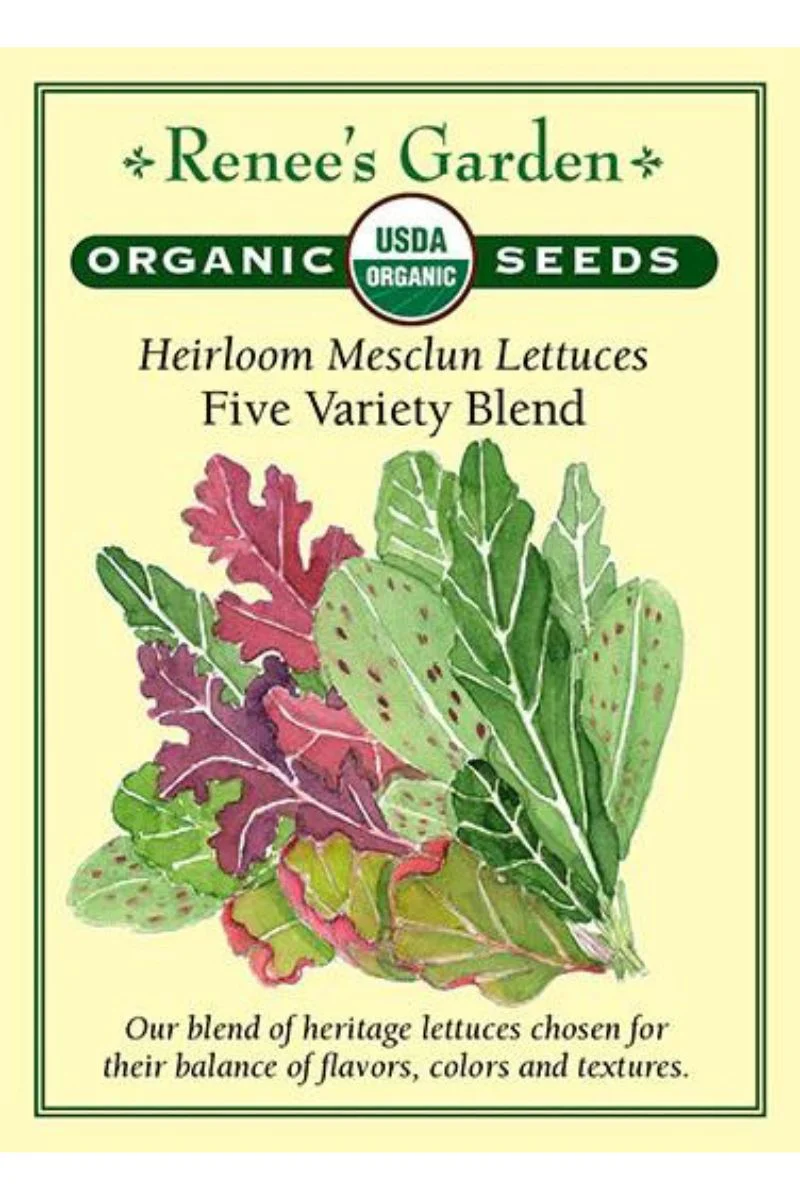 Renee's Garden Heirloom Mesclun Lettuces Five Variety Blend Organic Seeds - Image 2