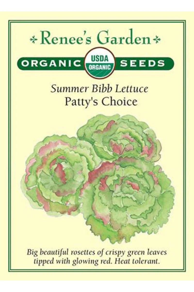 Renee's Garden Summer Bibb Lettuce Patty's Choice Organic Seeds - Image 2