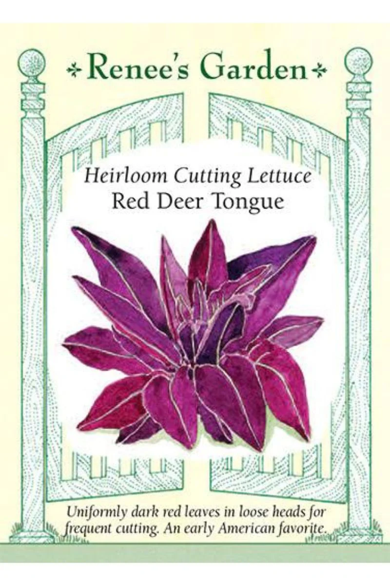 Renee's Garden Heirloom Cutting Lettuce Red Deer Tongue Seeds - Image 2