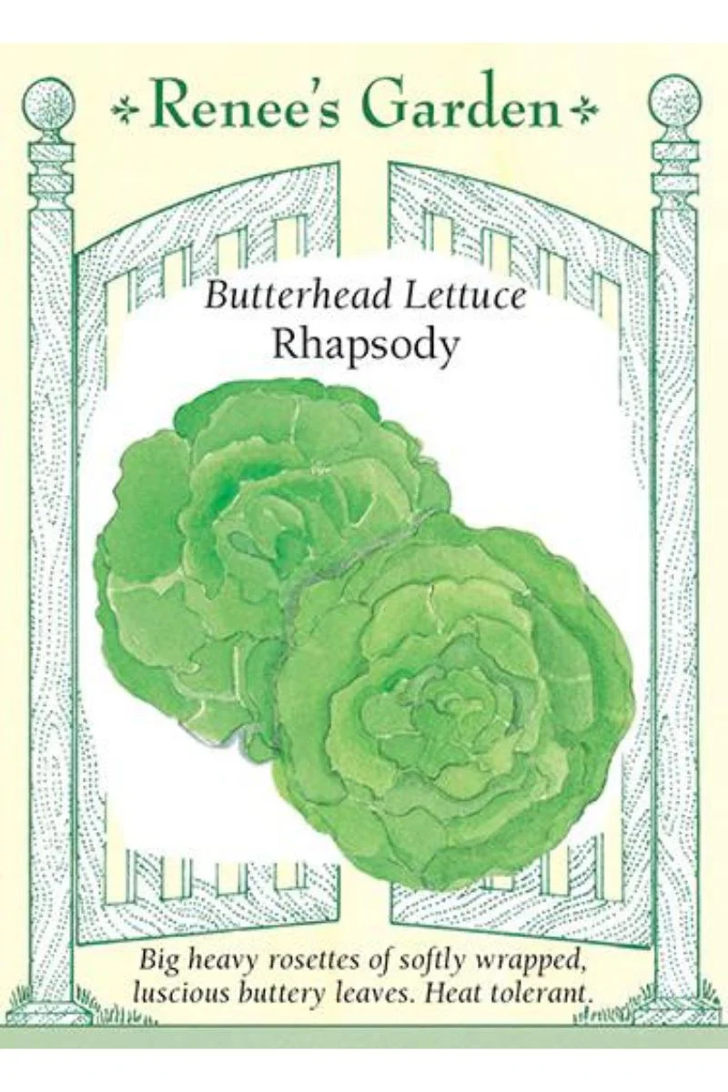 Renee's Garden Butterhead Lettuce Rhapsody Seeds - Image 2