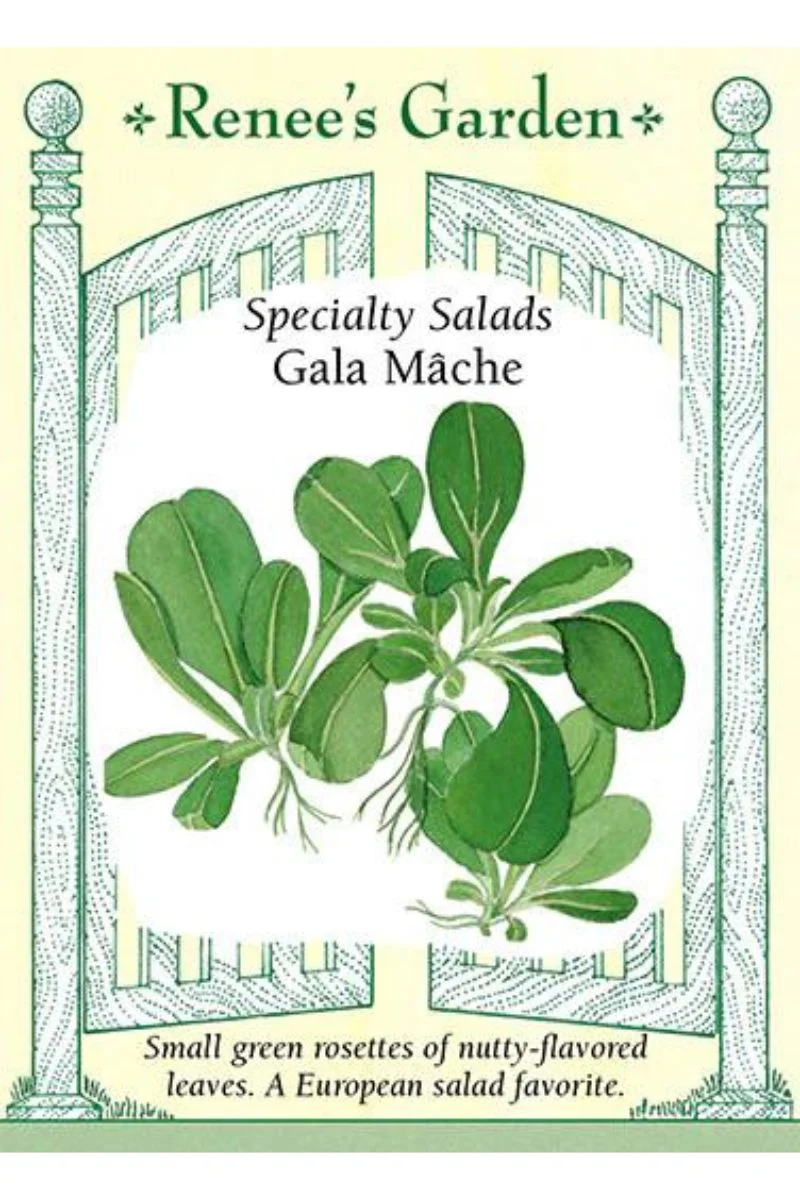 Renee's Garden Specialty Salads Gala Mache Seeds - Image 2