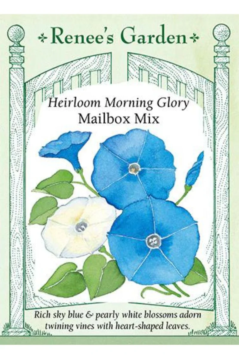 Renee's Garden Heirloom Morning Glory Mailbox Mix Seeds - Image 2