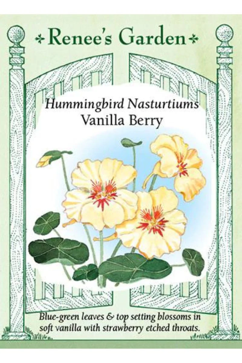 Renee's Garden Hummingbird Nasturtiums Vanilla Berry Seeds - Image 2
