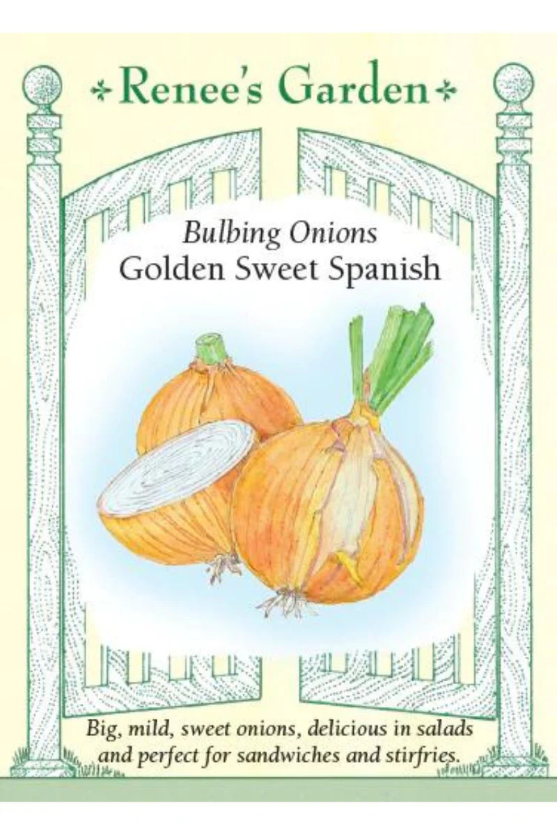 Renee's Garden Bulbing Onion Golden Sweet Spanish Seeds - Image 2