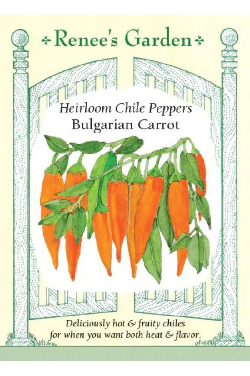 Renee's Garden Heirloom Chile Peppers Bulgarian Carrot Seeds - Image 2