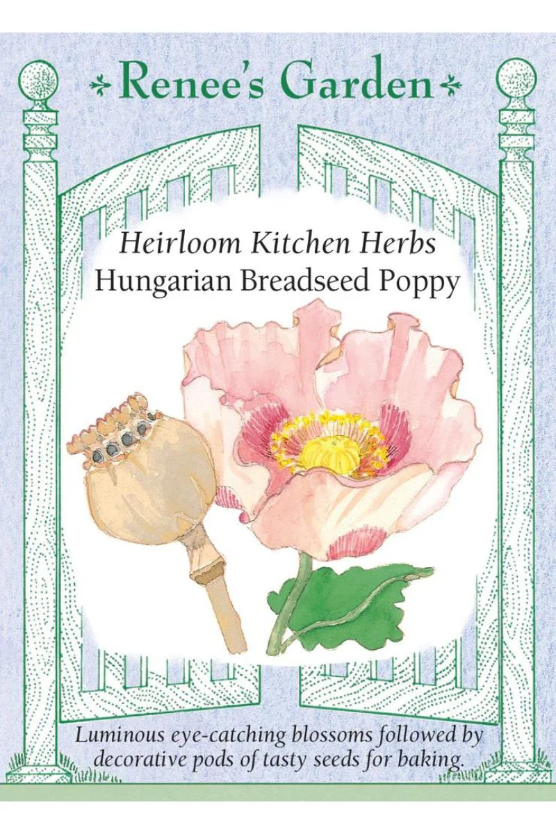Renee's Garden Heirloom Kitchen Herbs Hungarian Breadseed Poppy Seeds - Image 2