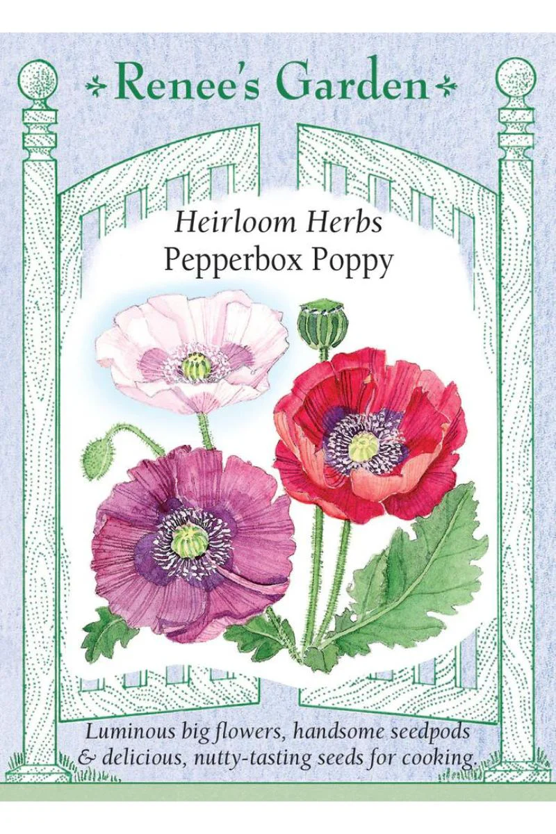 Renee's Garden Heirloom Herbs Pepperbox Poppy Seeds - Image 2