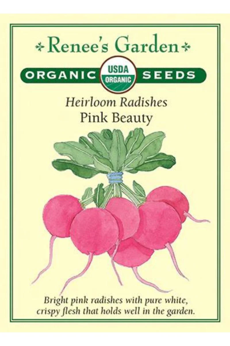 Renee's Garden Heirloom Radishes Pink Beauty Organic Seeds - Image 2