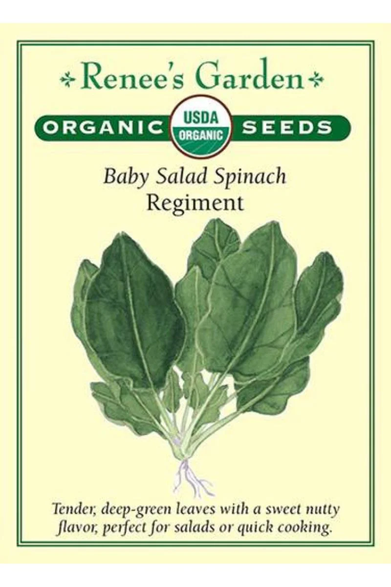 Renee's Garden Baby Salad Spinach Regiment Organic Seeds - Image 2