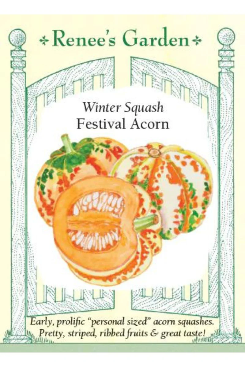 Renee's Garden Winter Squash Festival Acorn Seeds - Image 2