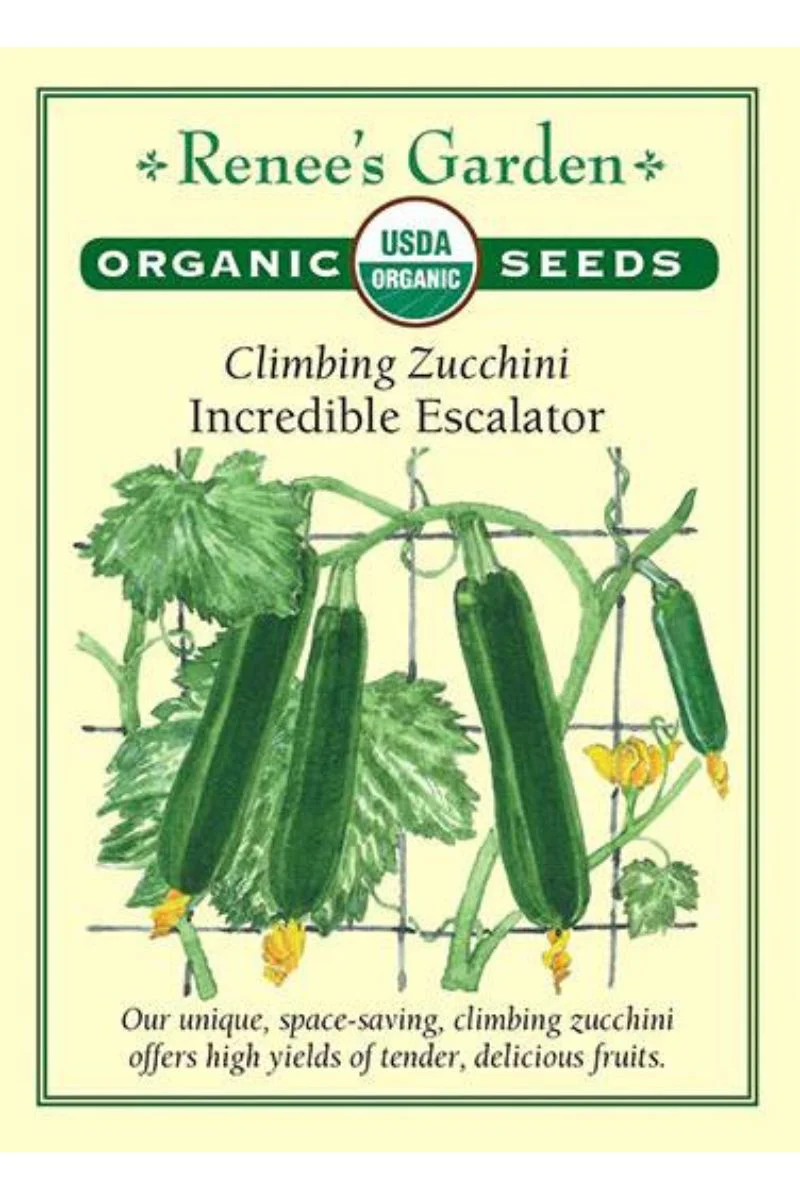Renee's Garden Climbing Zucchini Incredible Escalator Organic Seeds - Image 2