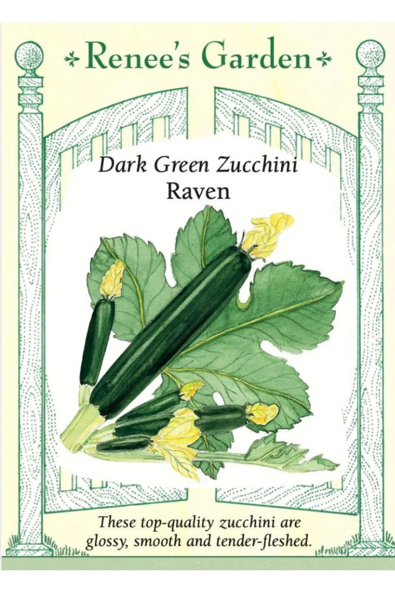 Renee's Garden Dark Green Zucchini Twilight Seeds - Image 2