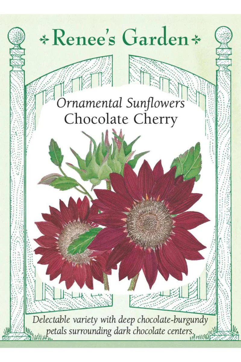 Renee's Garden Ornamental Sunflowers Chocolate Cherry Seeds - Image 2