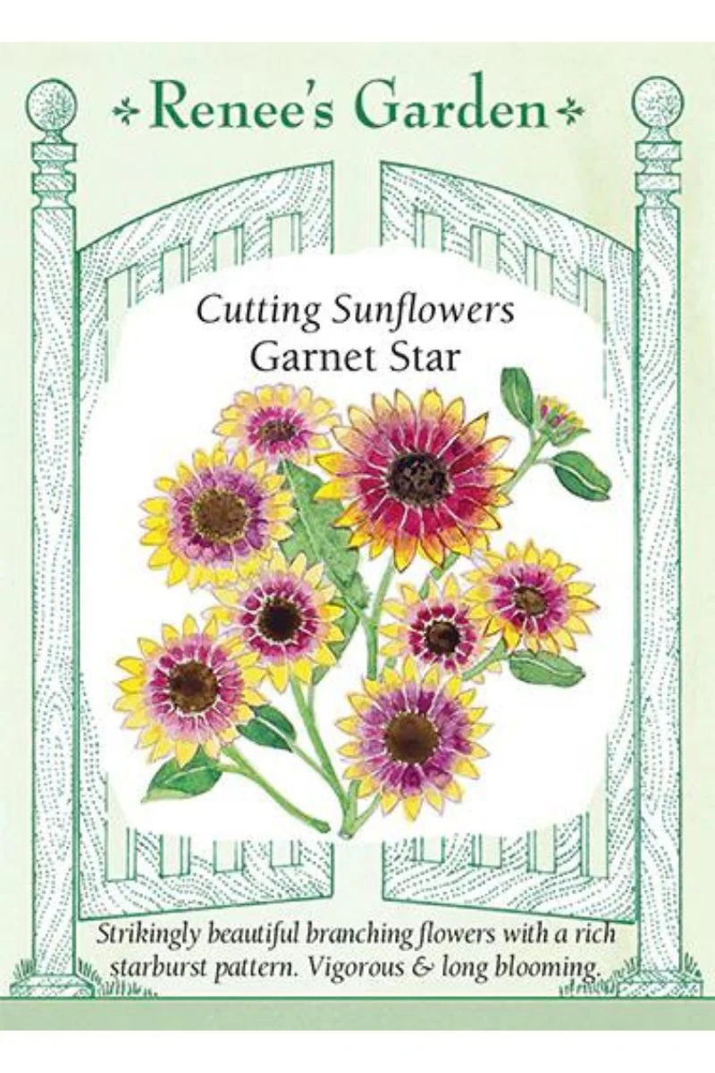 Renee's Garden Cutting Sunflowers Garnet Star Seeds - Image 2