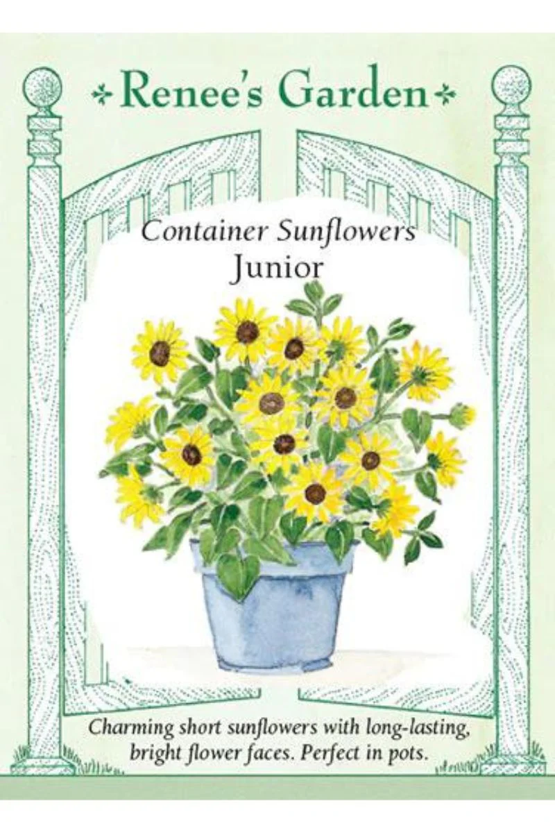 Renee's Garden Container Flowers Junior Seeds