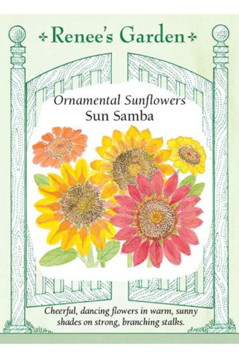Renee's Garden Ornamental Sunflowers Sun Samba Seeds - Image 2