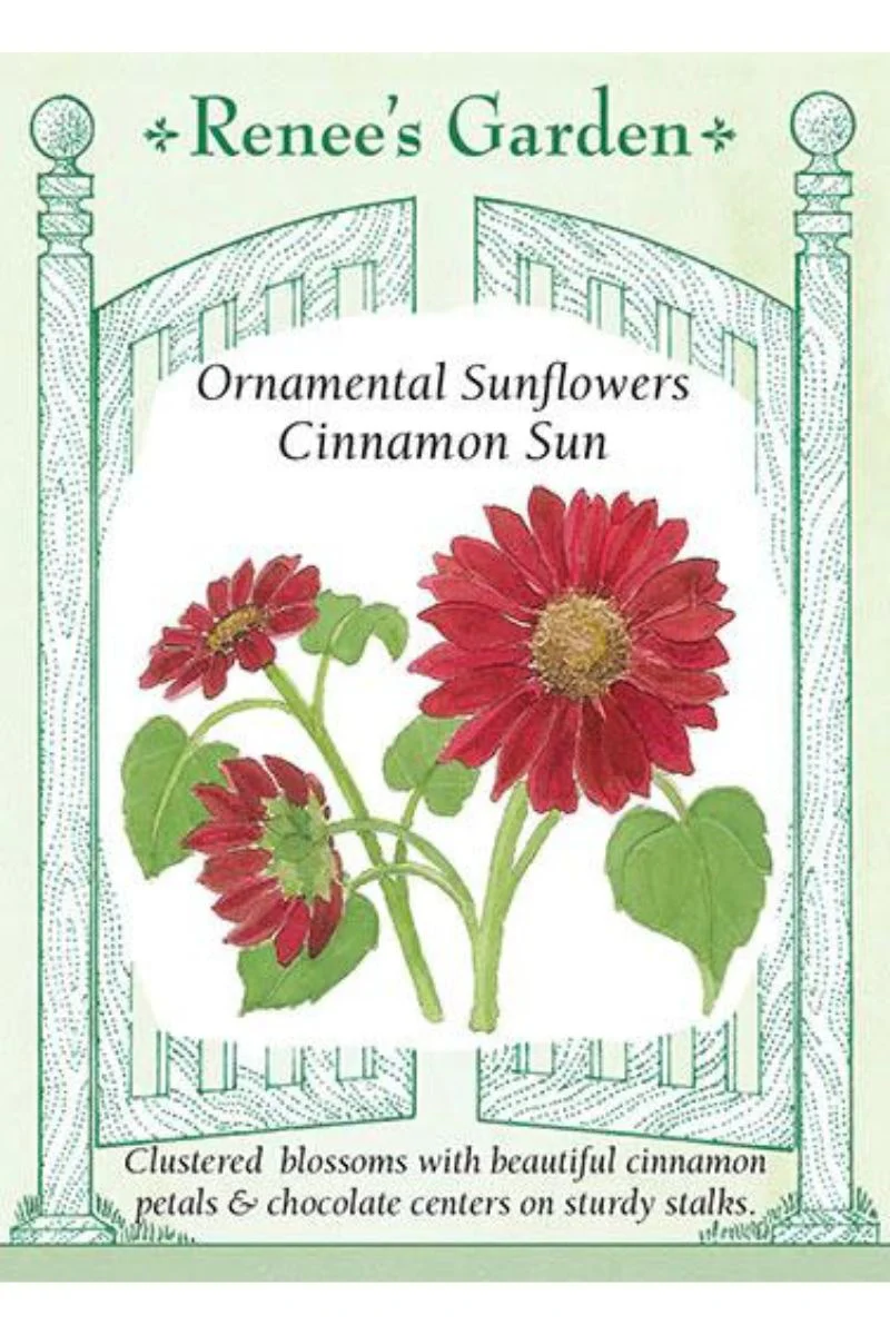 Renee's Garden Ornamental Sunflowers Cinnamon Sun Seeds - Image 2