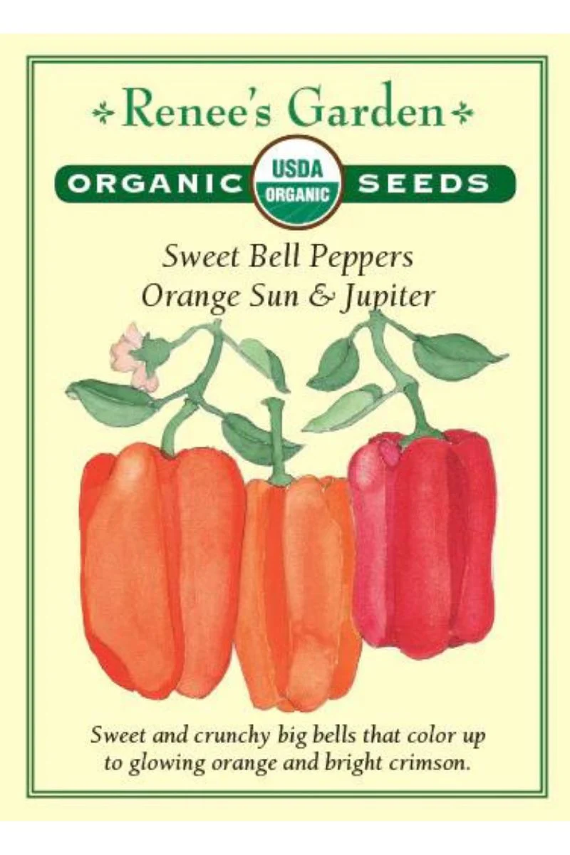 Renee's Garden Sweet Bell Peppers Orange Sun & Jupiter Organic Seeds