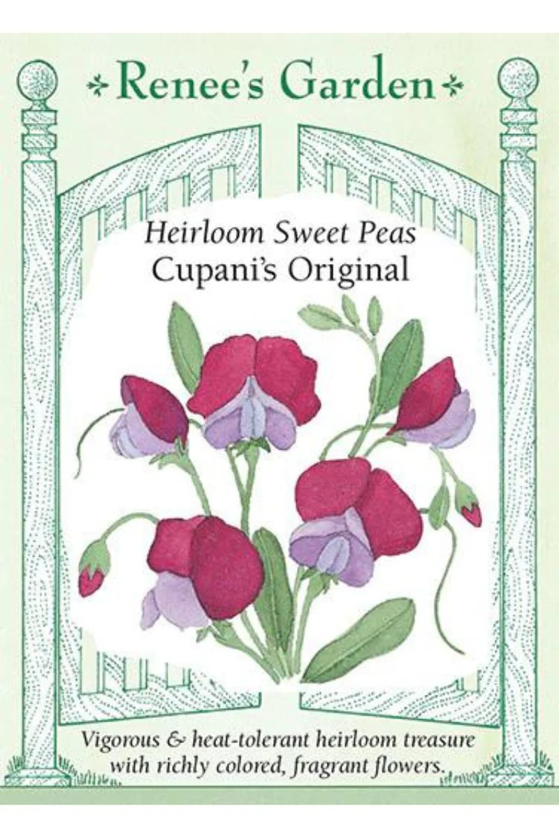 Renee's Garden Heirloom Sweet Peas Cupani's Original Seeds - Image 3