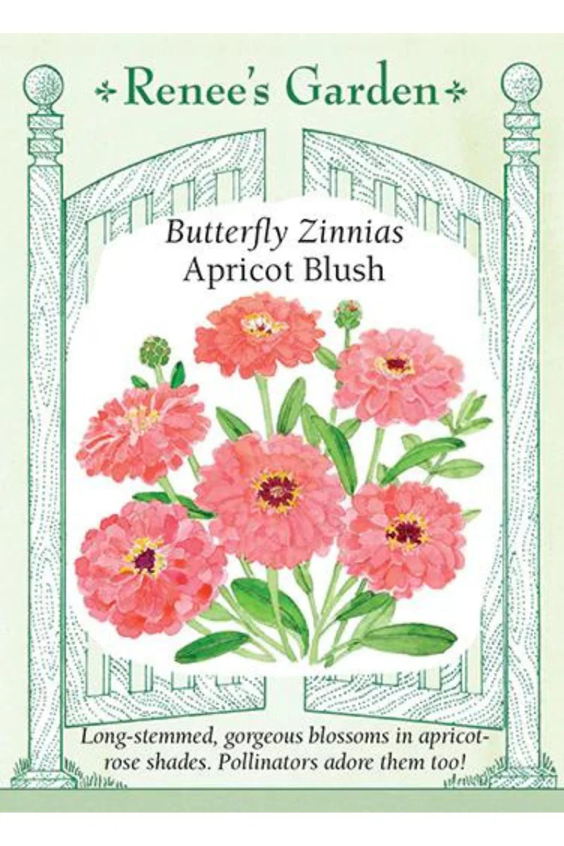 Renee's Garden Butterfly Zinnias Apricot Blush Seeds - Image 2