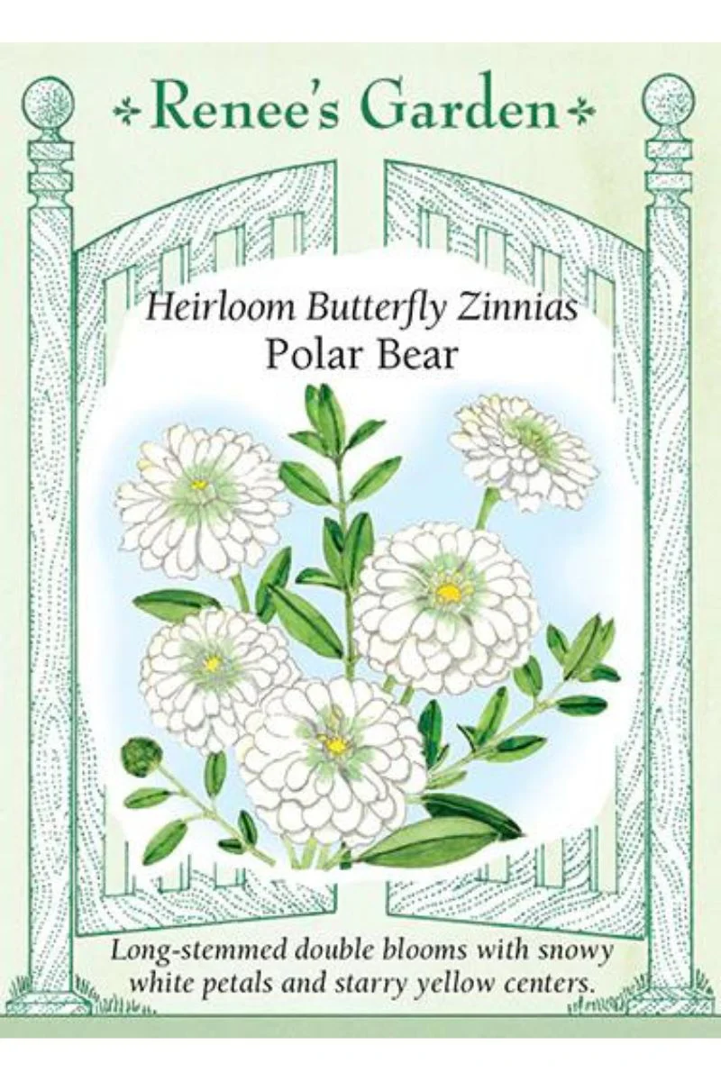 Renee's Garden Heirloom Butterfly Zinnias Polar Bear Seeds