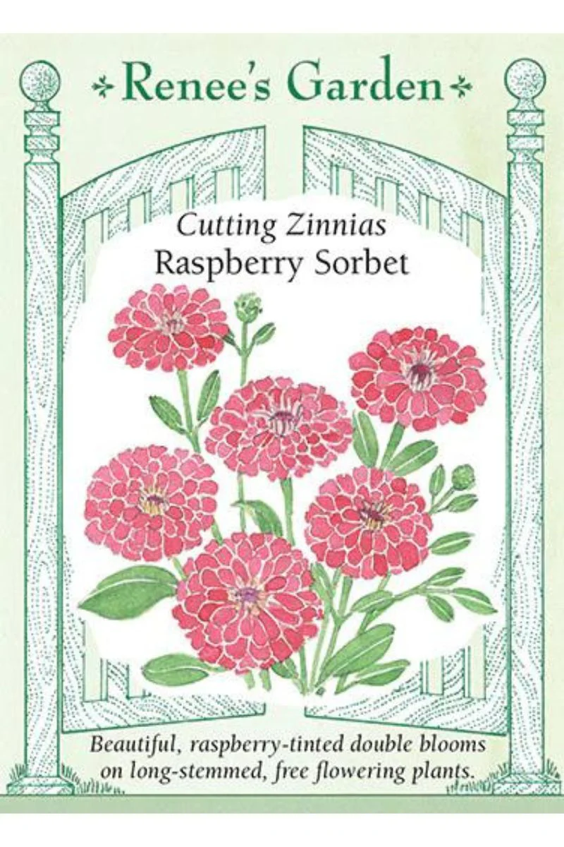 Renee's Garden Cutting Zinnias Raspberry Sorbet Seeds