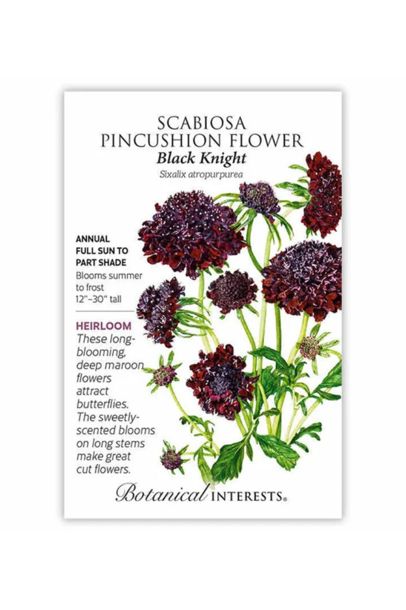 Botanical Interests Black Knight Scabiosa Pincushion Flower Seeds