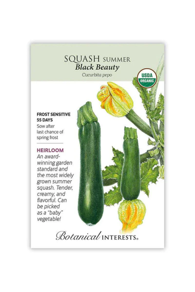 Botanical Interests Black Beauty Summer Squash Organic Seeds