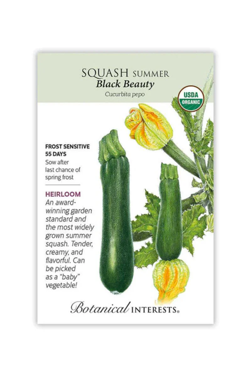 Botanical Interests Black Beauty Summer Squash Organic Seeds