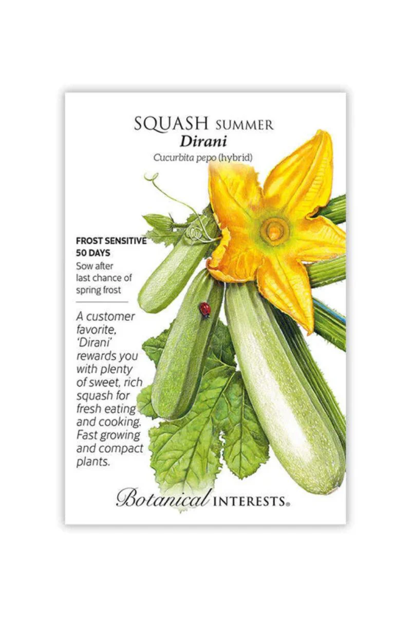 Botanical Interests Dirani Summer Squash Seeds