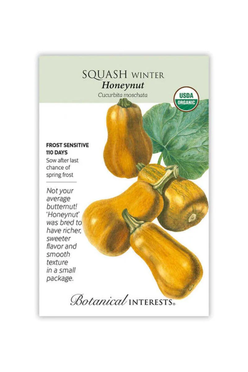 Botanical Interests Honeynut Winter Squash Organic Seeds