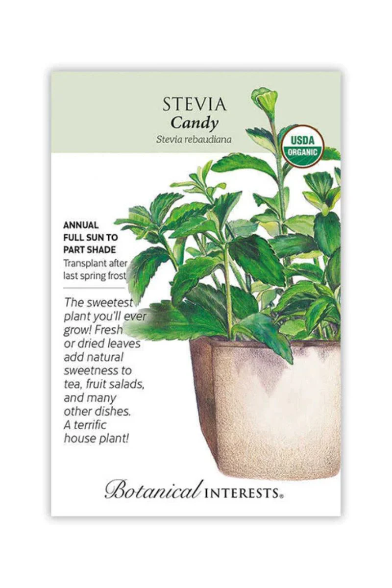 Botanical Interests Candy Stevia Organic Seeds