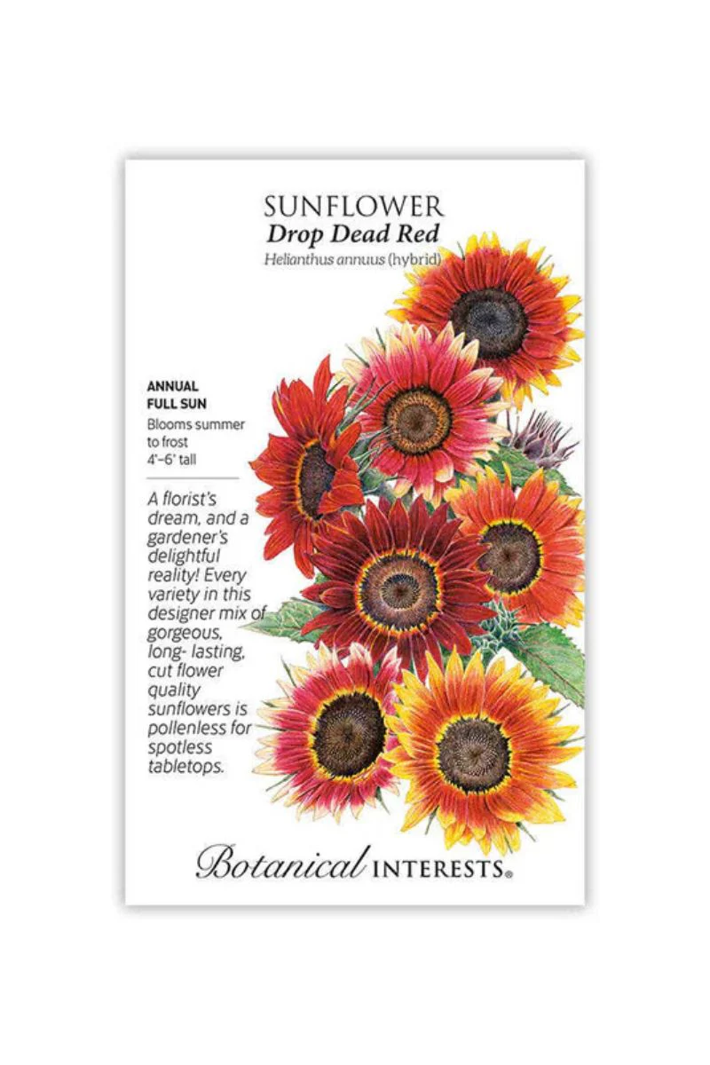 Botanical Interests Drop Dead Red Sunflower Seeds