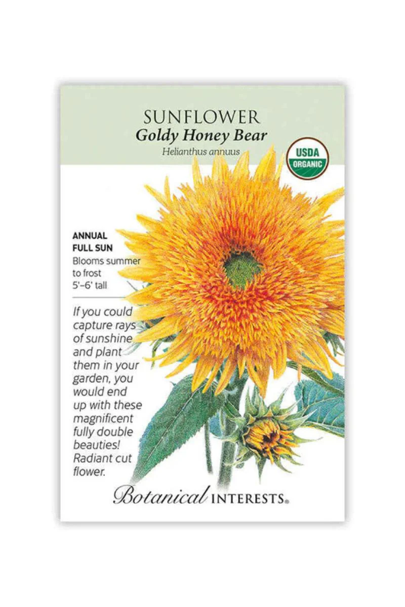 Botanical Interests Goldy Honey Bear Sunflower Organic Seeds